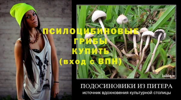 а пвп мука Бородино